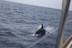 resIMG_20160609_152206_5996.JPG